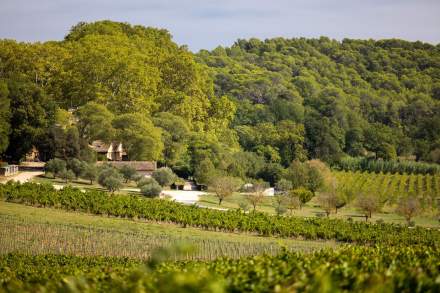 Vignes Biologiques Côtes de Provence, Château Mentone