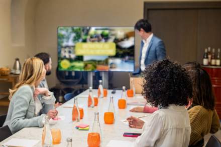 Seminar in the Var, Château Mentone