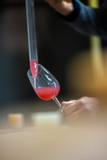 Vinification Vins Rosé Côtes de Provence