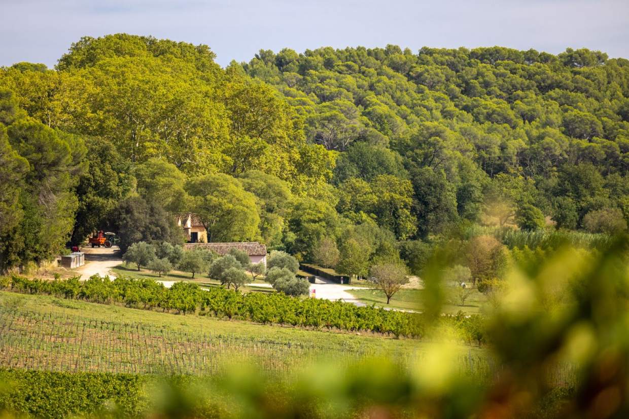 Château Mentone